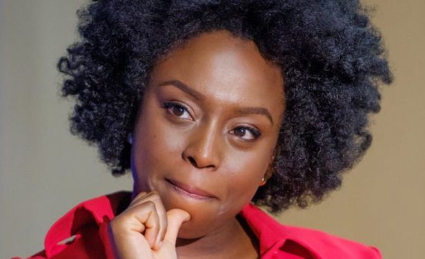 Coroner suspends inquest into death of Chimamanda Adichie’s son