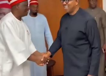 Peter Obi visits Kwankwaso after presidential screening, clearance