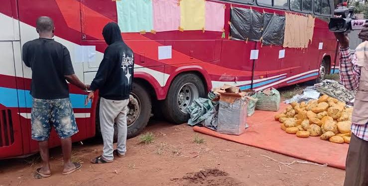 Customs intercepts bus with military camouflage, drugs in Ogun State