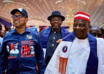 Peter Obi emerges NDC presidential candidate for 2027 general elections