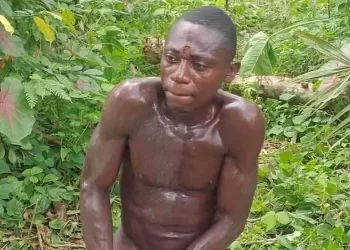 Suspect kills two to avenge parents’, brothers’ deaths