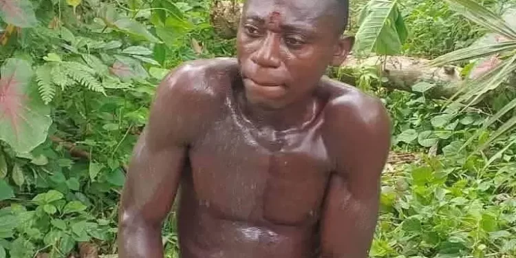 Suspect kills two to avenge parents’, brothers’ deaths