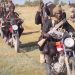 Terrorists attack Kogi school, kill vice principal, 2 others