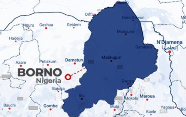 Borno parents cry neglect as 42 pupils remain in terrorists’ den