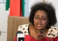 Xenophobia: Our artistes losing gigs, businesses affected – South African minister laments