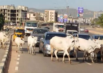 FG moves to end open grazing, identifies 470 gazetted reserves