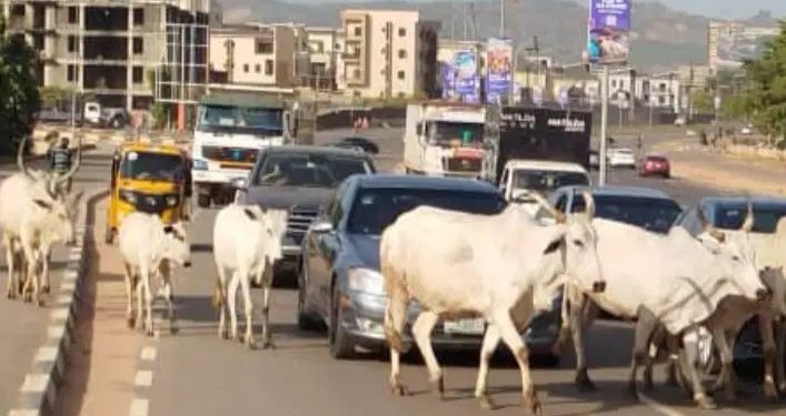 FG moves to end open grazing, identifies 470 gazetted reserves