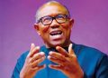Insecurity: It’s sad our children now pawn in deadly ransom economy – Peter Obi