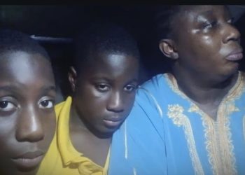 Ex-minister of Power Adelabu’s sister, nephews regain freedom