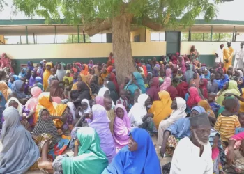 Military rescues 360 Ngoshe abductees in Borno