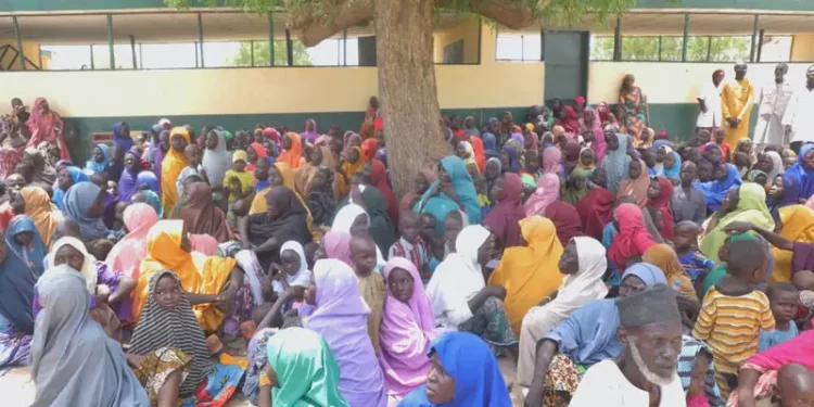 Military rescues 360 Ngoshe abductees in Borno