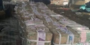 Senate orders arrest of terrorists flaunting cash on social media