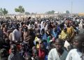 North-West Nigeria IDPs swell to 800,000 amid killings
