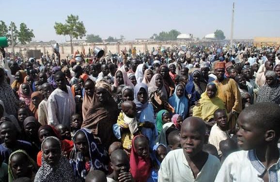North-West Nigeria IDPs swell to 800,000 amid killings