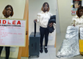 NDLEA seizes N12.4bn cannabis at Lagos Port, busts drug syndicate targeting passengers