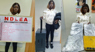 NDLEA seizes N12.4bn cannabis at Lagos Port, busts drug syndicate targeting passengers