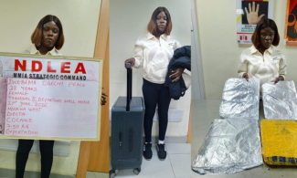 NDLEA seizes N12.4bn cannabis at Lagos Port, busts drug syndicate targeting passengers