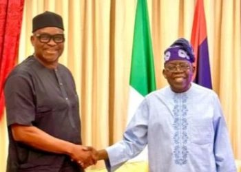 Tinubu appoints Fayose REA chairman, names 25 others