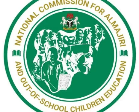 Almajiri Commission: Stop this budgeting absurdity – Punch