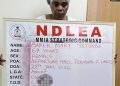NDLEA arrests 67-year-old with 13kg of cocaine in fake plantain
