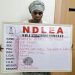 NDLEA arrests 67-year-old with 13kg of cocaine in fake plantain
