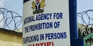 NAPTIP rescues 202 trafficking victims in Katsina