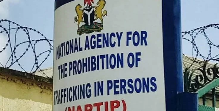 NAPTIP rescues 202 trafficking victims in Katsina