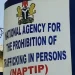 NAPTIP rescues 202 trafficking victims in Katsina