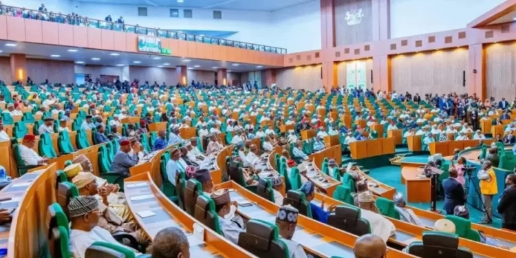 Reps in rowdy session over motion to summon Tinubu