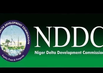 NDDC trains traditional birth attendants to reduce maternal, newborn deaths