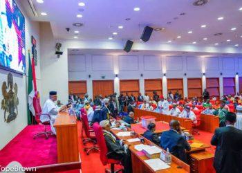 Senate rejects motion to investigate phantom agency N1.3bn budget allocation