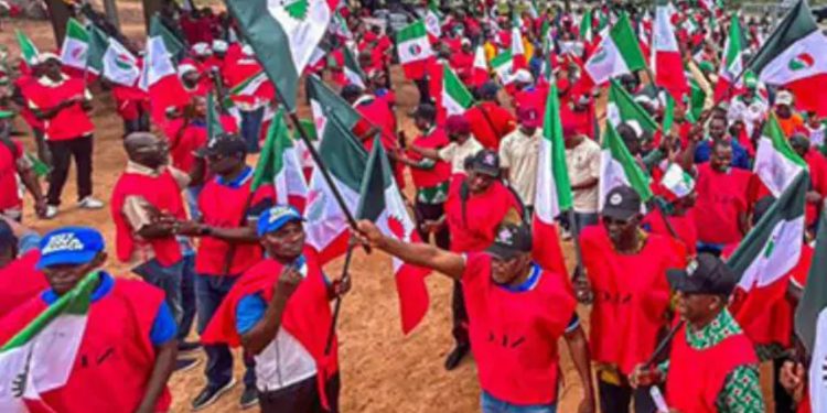 Lagos Council defies NLC directive to skip Pro-Tinubu Group inauguration
