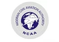 We need strong civil aviation authority – Punch