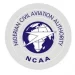 We need strong civil aviation authority – Punch