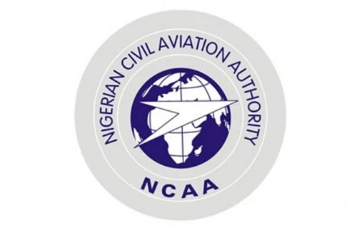 We need strong civil aviation authority – Punch