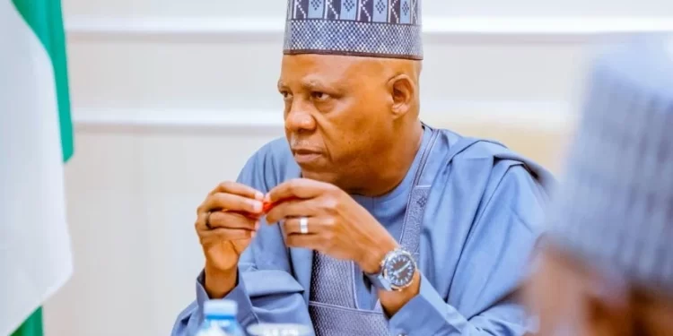 Shettima resumes duties after two-week leave