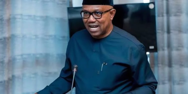 Peter Obi demands urgent action after mass abduction in Niger