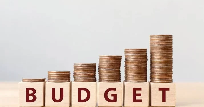 Nigeria must stop misplaced budgetary allocations – Punch