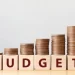 Nigeria must stop misplaced budgetary allocations – Punch