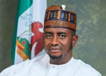 Bauchi senator denies sponsoring banditry