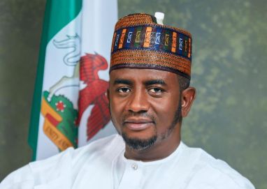 Bauchi senator denies sponsoring banditry