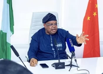 Nigerians begging me to slow down power supply, says Minister