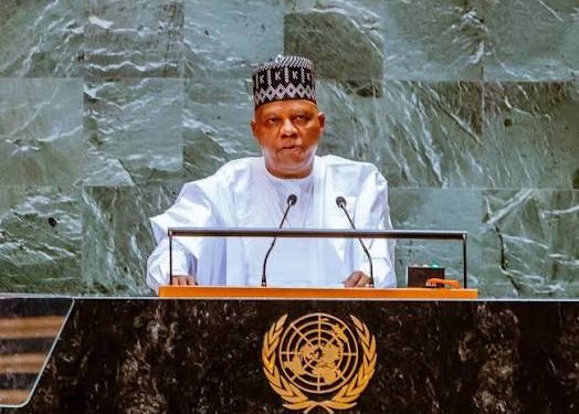 UN Security Council: Nigeria demands two permanent seats, veto powers for Africa