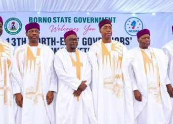 North-East governors push FG to restart Borno oil exploration, back Kolmani revival