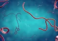 Nigeria confirms first Ebola case