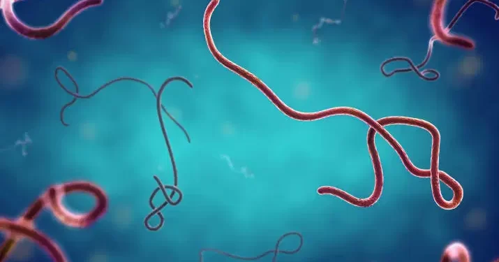 Nigeria confirms first Ebola case