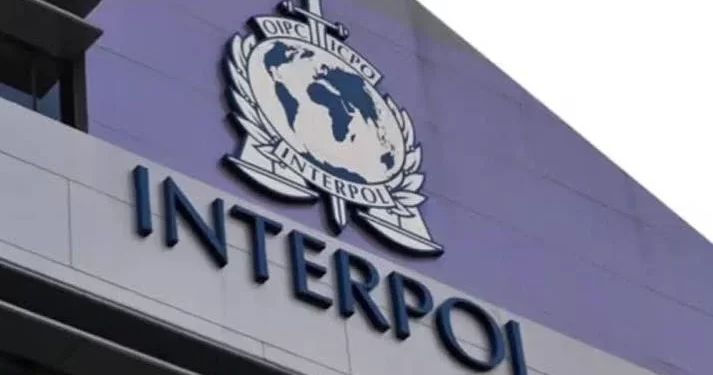 INTERPOL arrests two cybercrime suspects in Nigeria